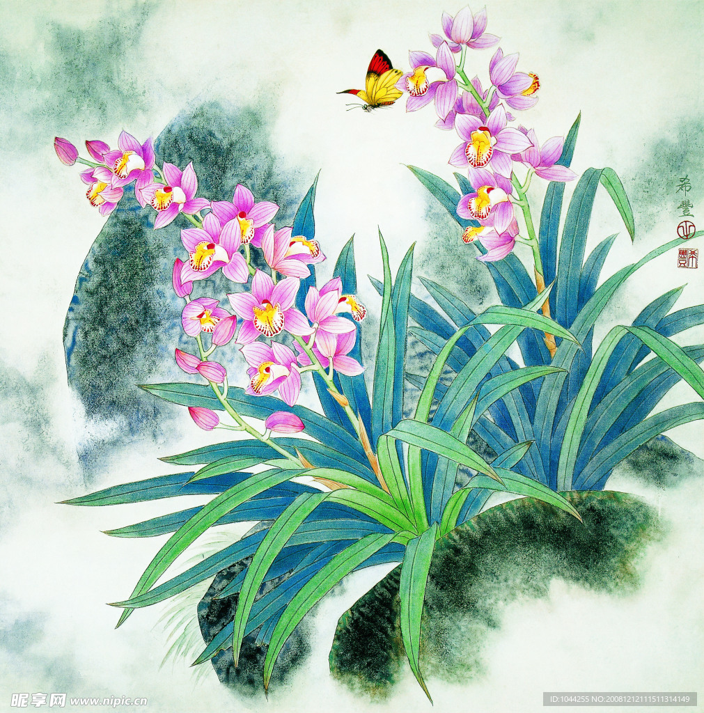 兰花