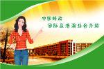 国际及港澳