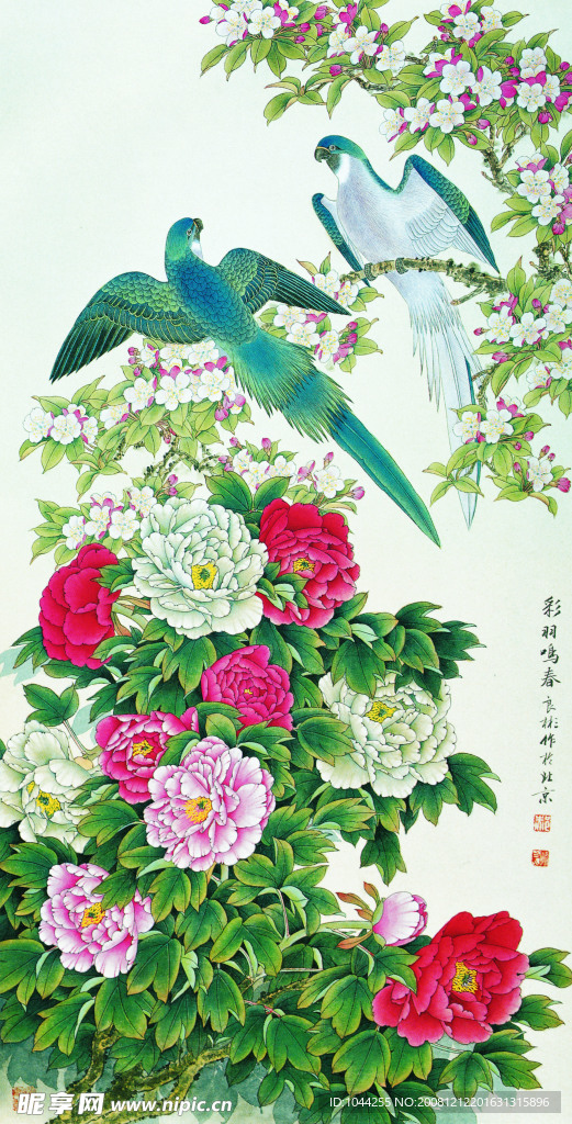 牡丹