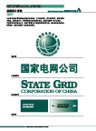 中国国家电网公司VIS