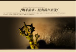 经典就在案前
