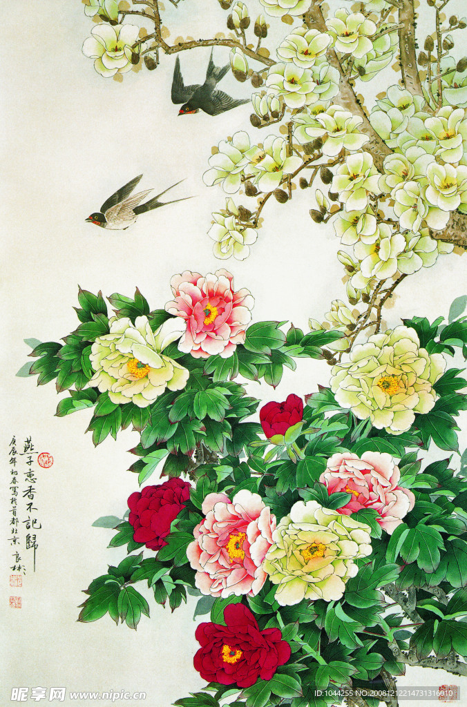 牡丹