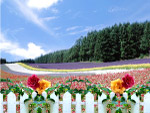自然花园