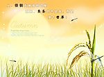 梦幻背景