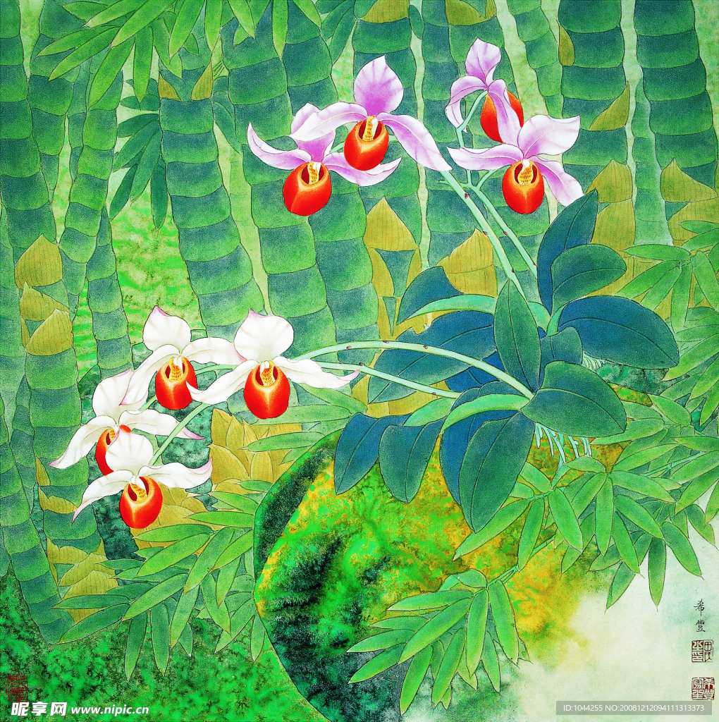 兰花