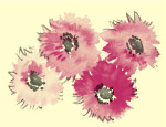 韩国花纹