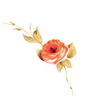 彩绘花卉