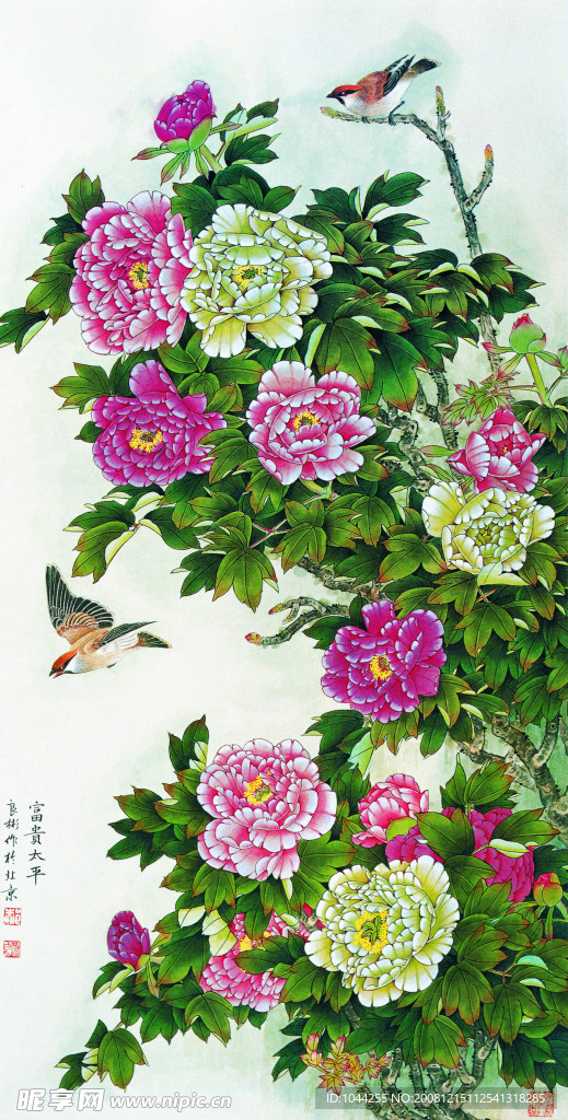 牡丹