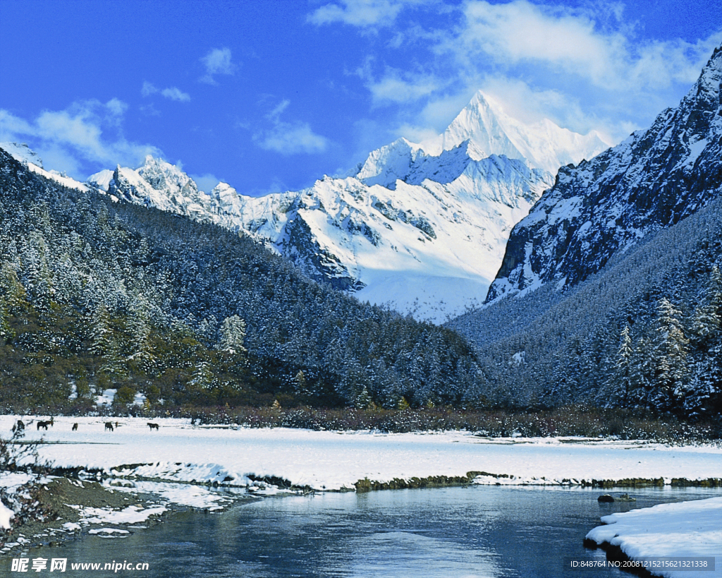稻城雪山