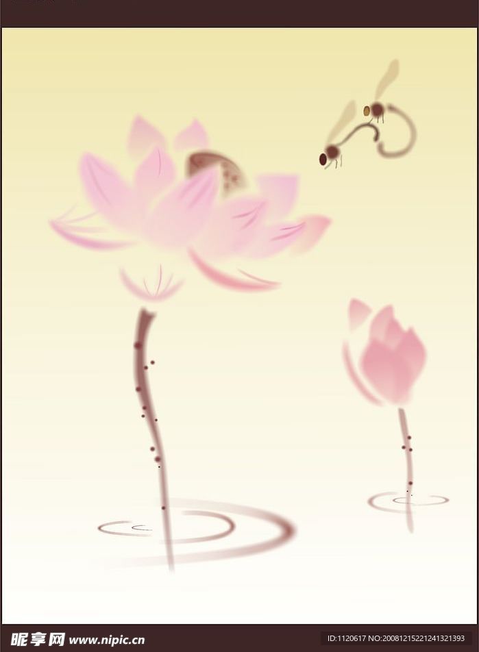 荷花