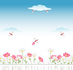 蜻蜓舞