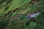 山间小溪