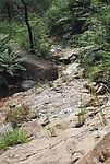 绿水青山