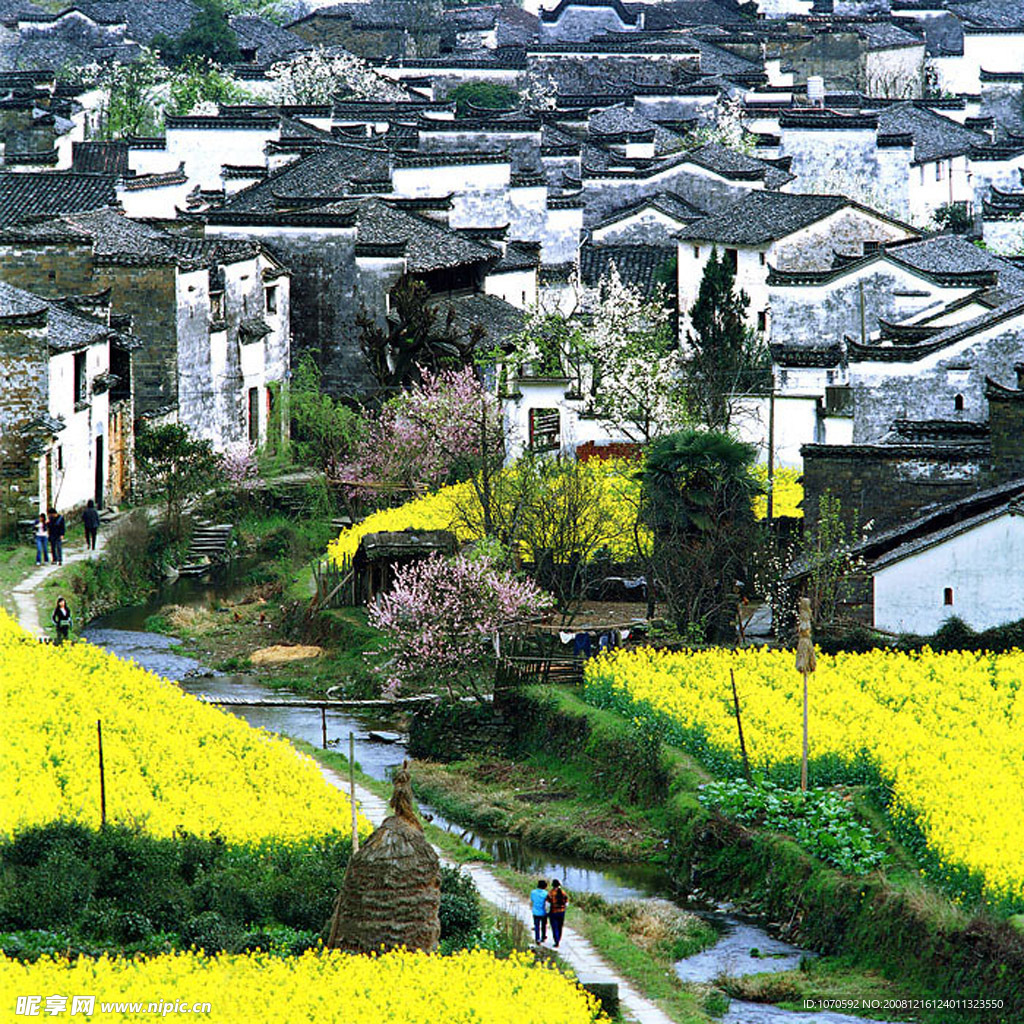婺源风景