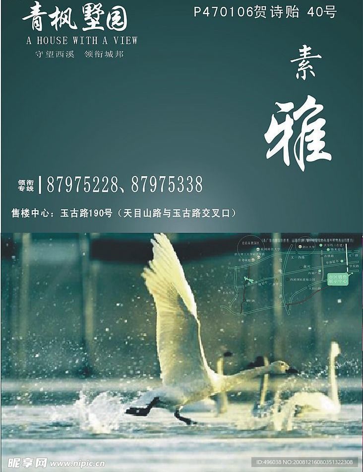 青枫 素雅