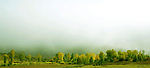 风景 大树  绿草 天空  源文件