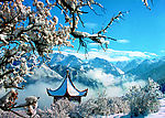 天池雪景
