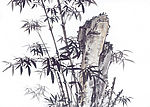 国画竹