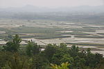 田野