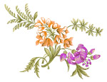 彩绘花卉