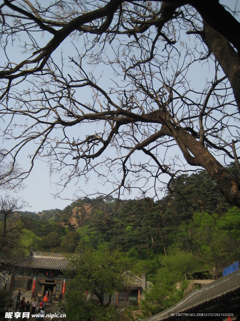 千山风景