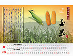台历贺卡5