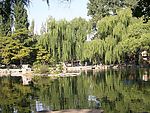 北京动物园湖心岛