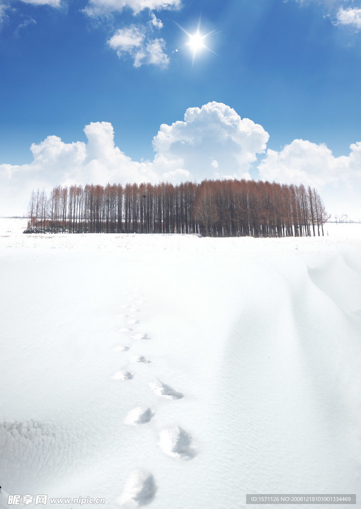 雪后日出