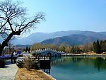 古树小桥流水远山