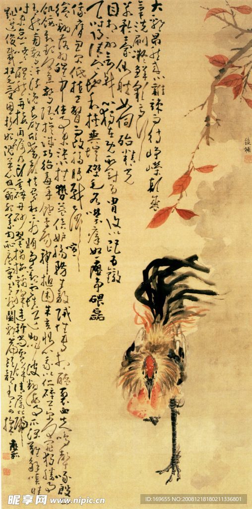 雄鸡