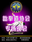 晚会海报