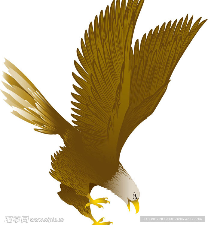 中国吉祥物素材-俯冲的鹰