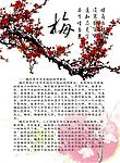 《风信子》封面反面梅