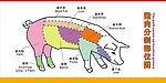猪肉分割部位图