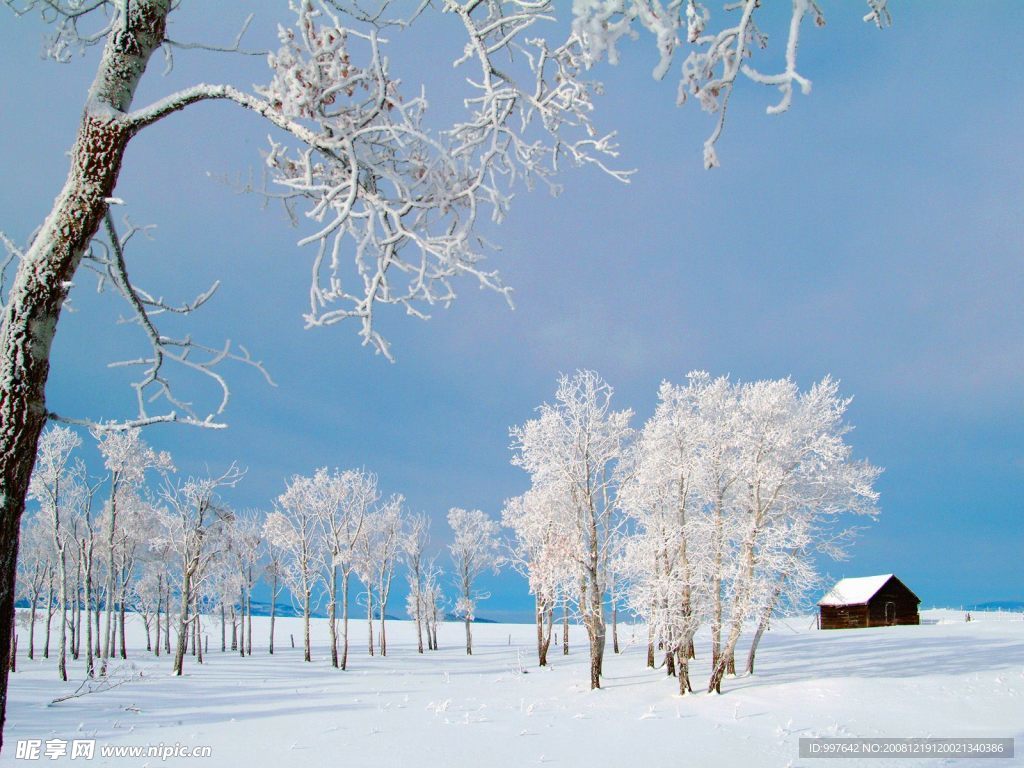 雪景