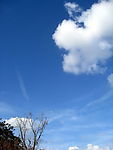天空素材