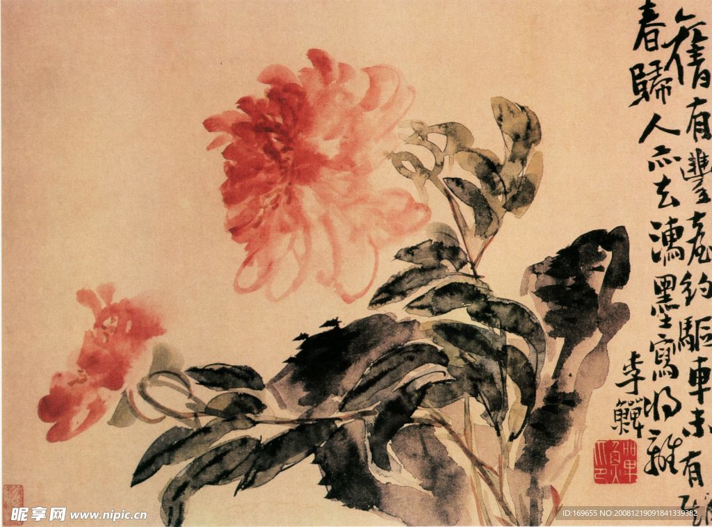 秋菊