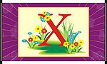 x字母与动物