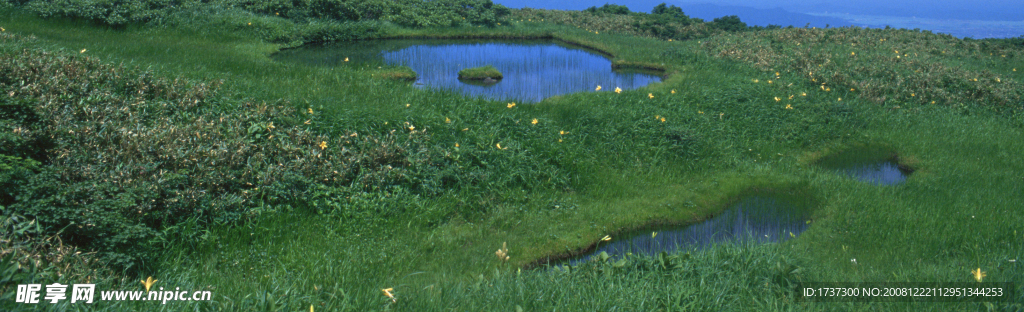 草地素材