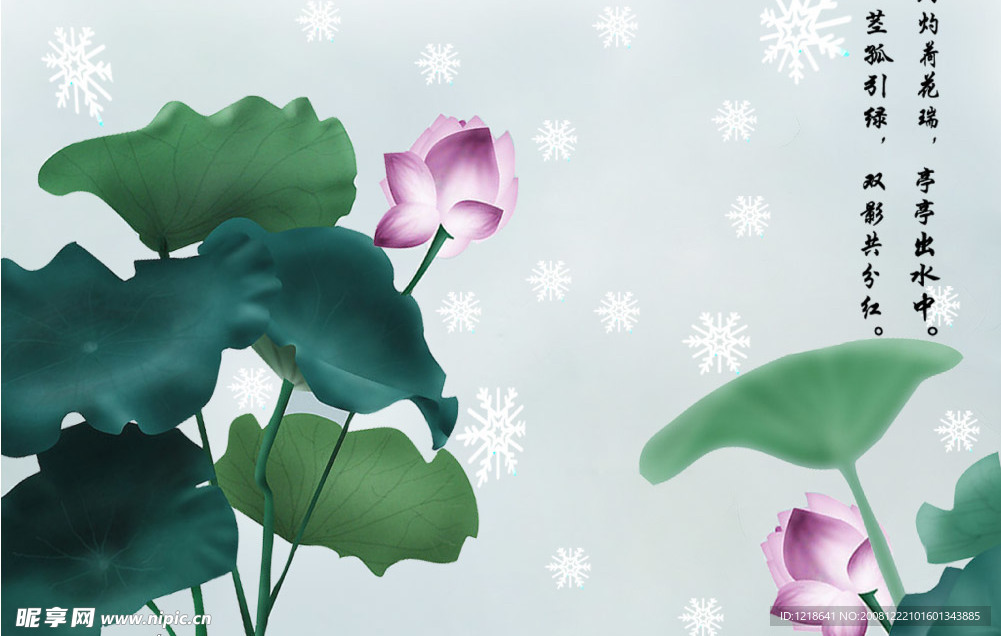雪中荷花