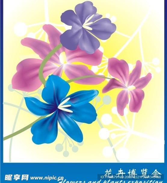 绚丽花朵