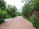 植物园道路