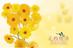 花言物语