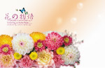花言物语