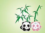可爱的熊猫