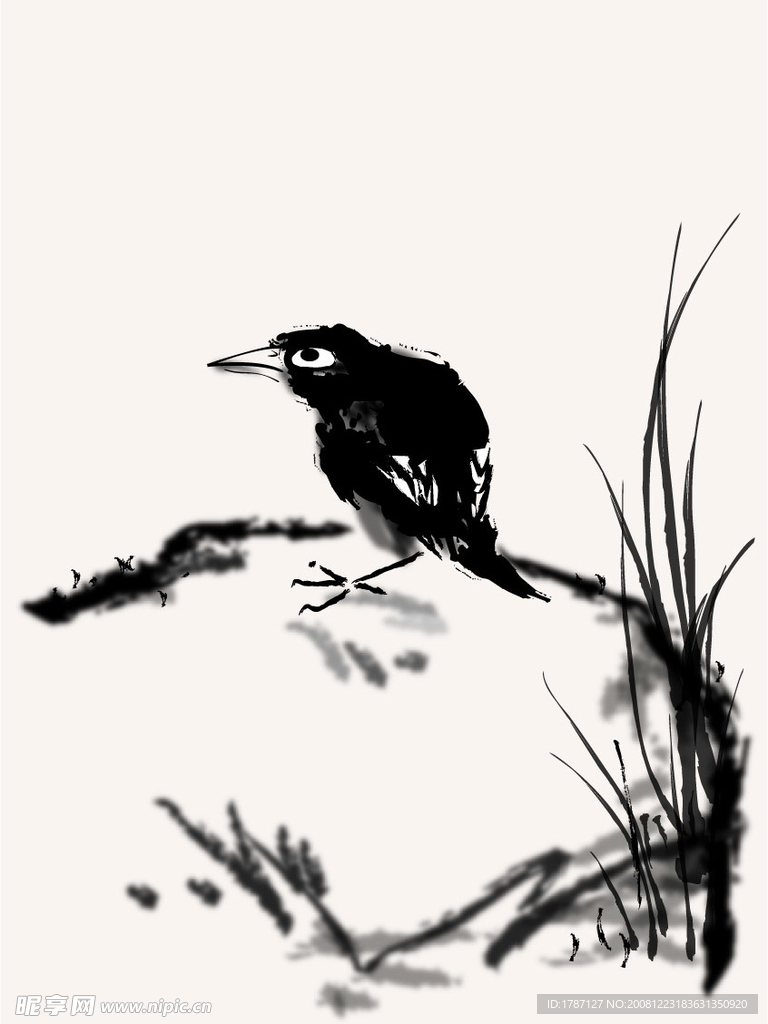 素描鸟
