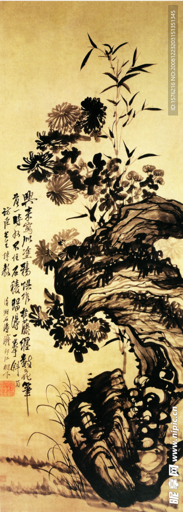石涛野菊