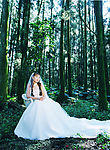 春天之婚纱
