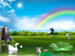 雨后