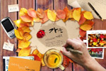 鲜花相框